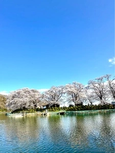 鹿ノ川沼