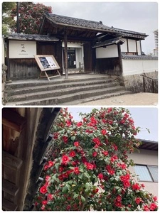 牡蠣祝（カキワイ）