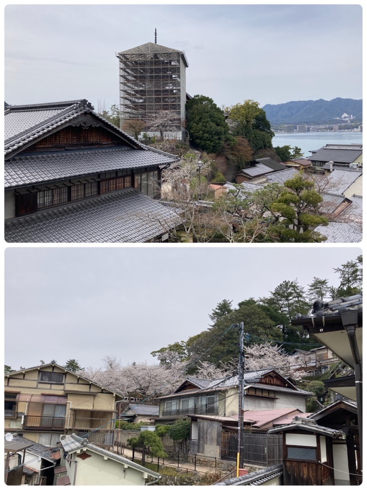 delicious_museum_7212さんが投稿した牡蠣祝（カキワイ）に関する口コミの画像