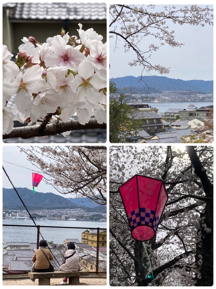 delicious_museum_7212さんが投稿した牡蠣祝（カキワイ）に関する口コミの画像
