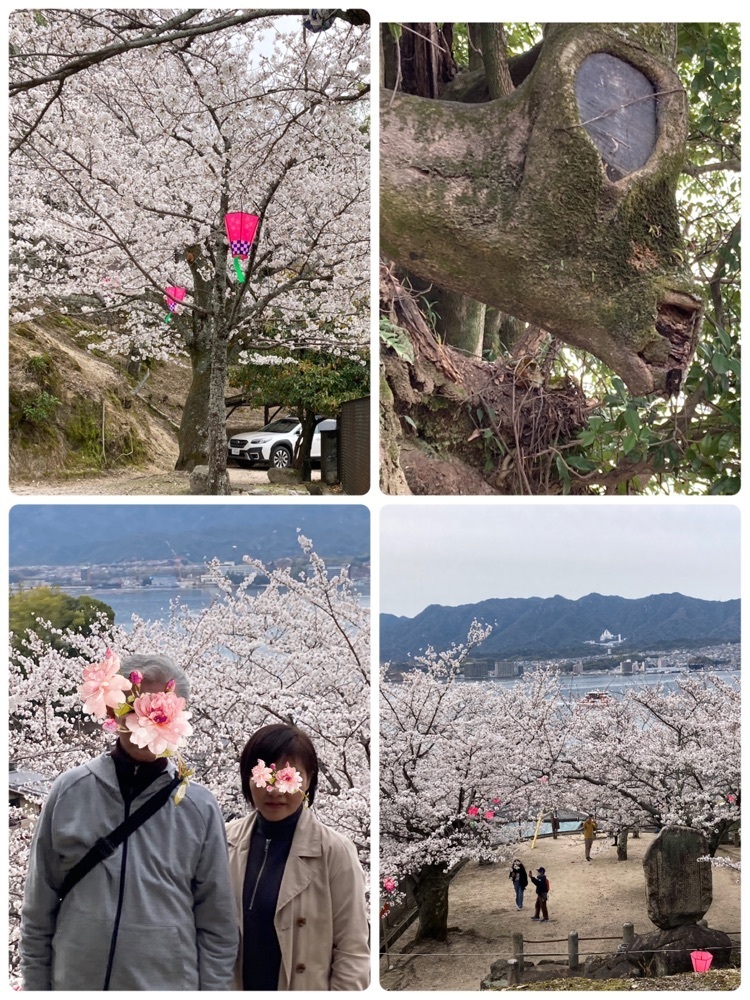 delicious_museum_7212さんが投稿した牡蠣祝（カキワイ）に関する口コミの画像