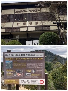 宮島ロープウエー