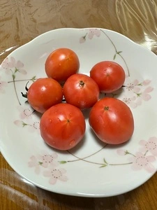 ＪＡ邑楽館林農産物直売所ぽんぽこ