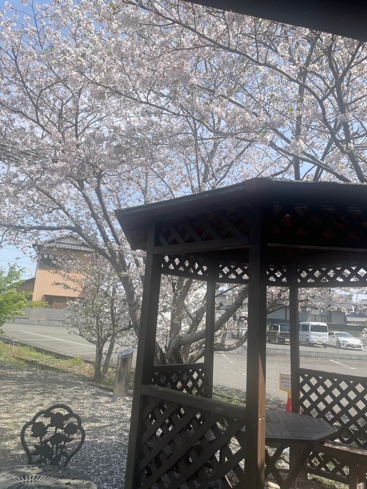 hirokororinさんが投稿したぶんに関する口コミの画像