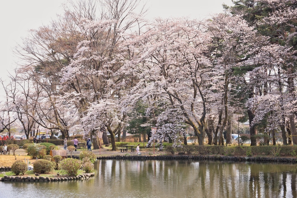 まさまさ　さまさんが投稿したローソン 那須塩原烏ヶ森公園前店に関する口コミの画像