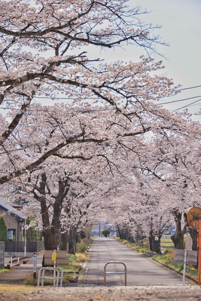 まさまさ　さまさんが投稿したローソン 那須塩原烏ヶ森公園前店に関する口コミの画像