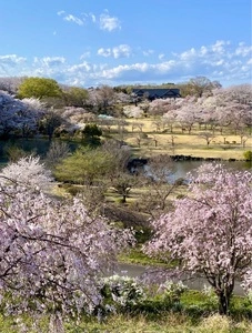 つがの里