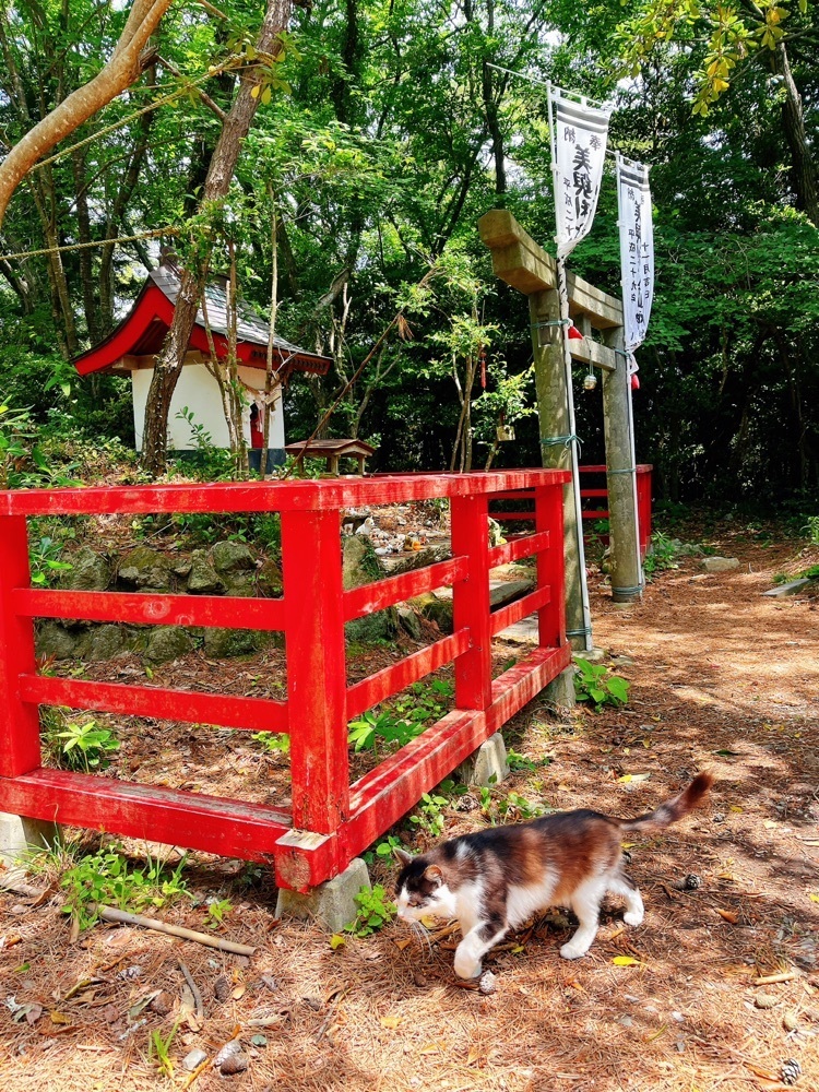 猫なぎ。さんが投稿した猫神社に関する口コミの画像