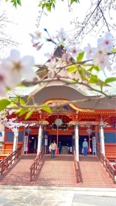 紅龍山 布施弁天 東海寺