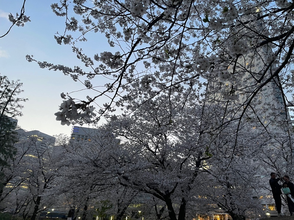 fumiさんが投稿したさくら通りに関する口コミの画像