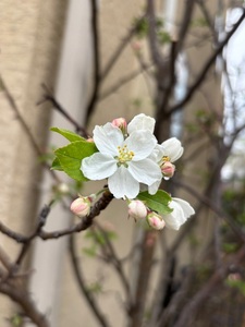 旧田中家鋳物民俗資料館 3枚目