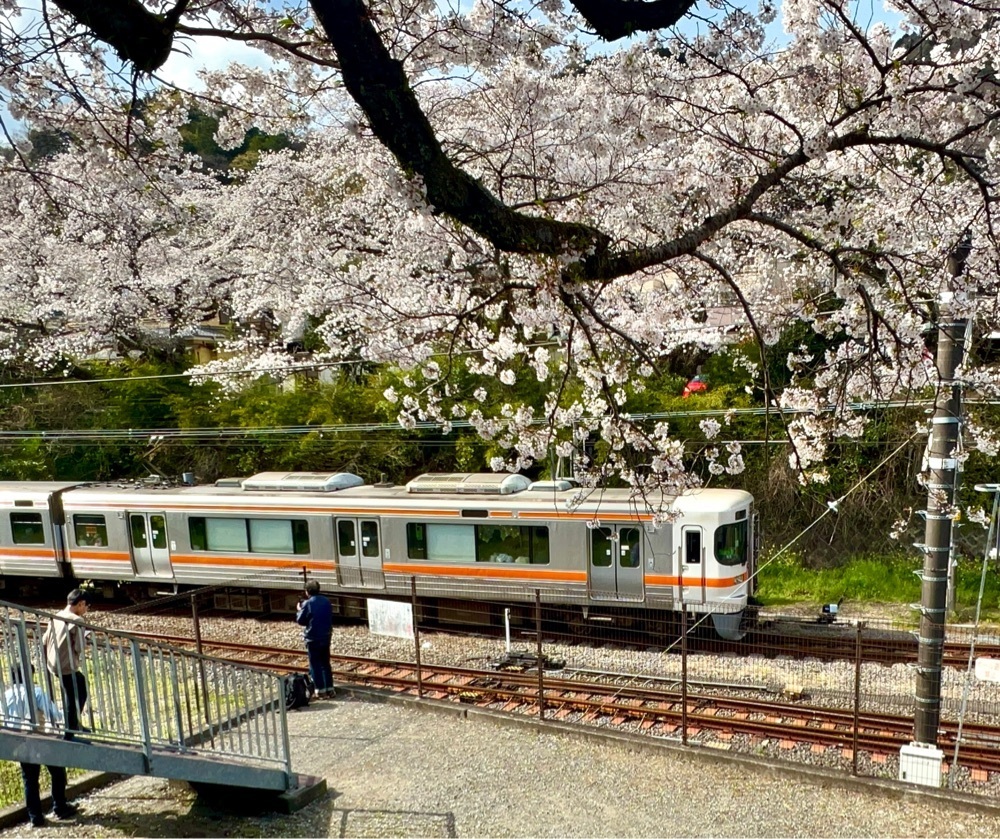 ビンカさんが投稿した鉄道公園に関する口コミの画像
