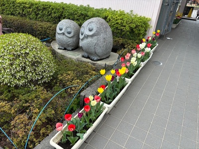 施設画像