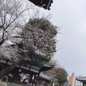 佛光寺