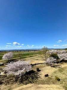 セブンイレブン 伊勢崎境平塚