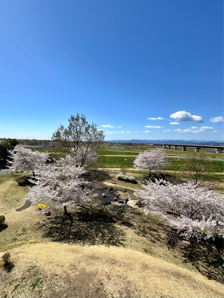 からっ風②さんが投稿したセブンイレブン 伊勢崎境平塚に関する口コミの画像