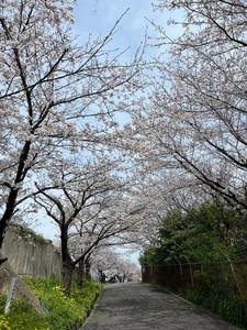新幹線公園