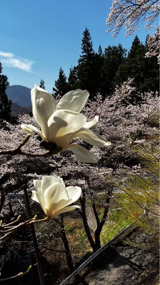 take.aさんが投稿した景徳院に関する口コミの画像