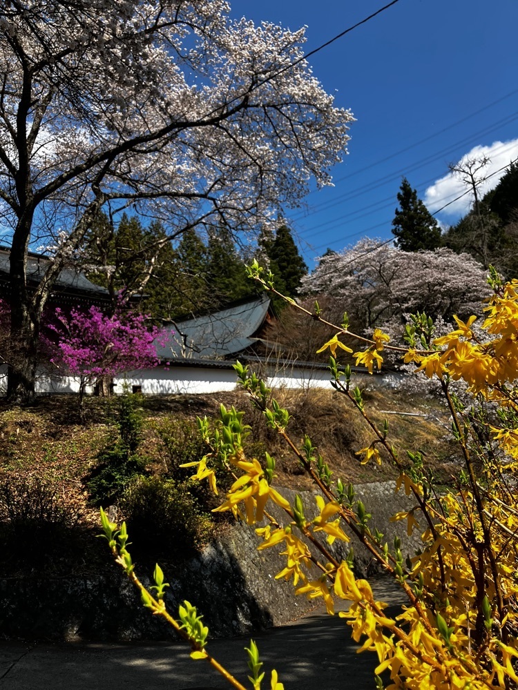 take.aさんが投稿した景徳院に関する口コミの画像