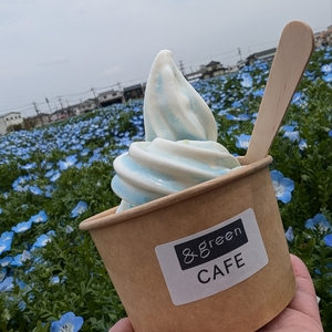アンドグリーンカフェ（&greenCAFE）