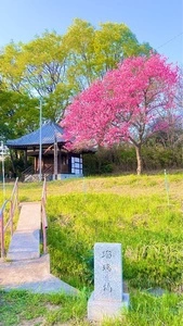 埼玉厄除け開運大師・龍泉寺 1枚目