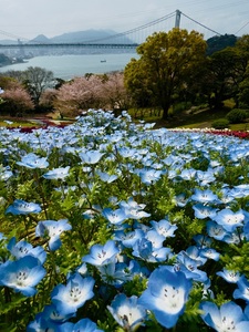 火の山公園 7枚目