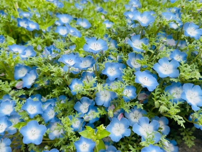 火の山公園 8枚目