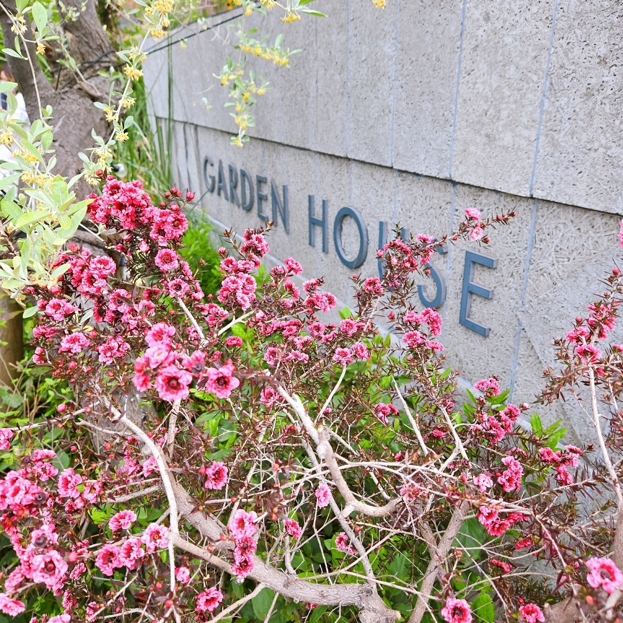miさんが投稿したGARDEN HOUSE KAMAKURA（ガーデンハウスカマクラ）に関する口コミの画像