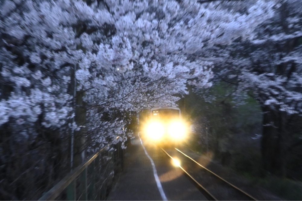 佳さんが投稿した三浦駅に関する口コミの画像