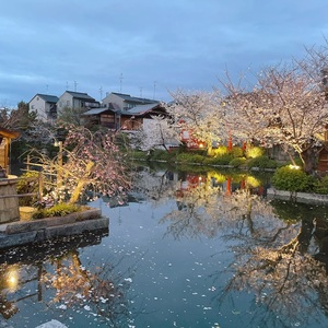 神泉苑（真言宗寺院） 2枚目