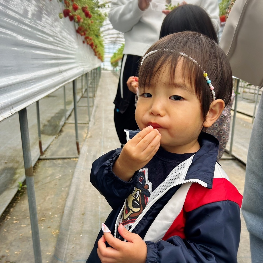 Mr. イリジウム シルバーさんが投稿したストロベリーファーム雫に関する口コミの画像