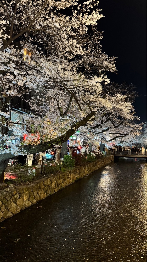 kumakentoraさんが投稿した酒ト和食 ほっこり 京都木屋町本店に関する口コミの画像