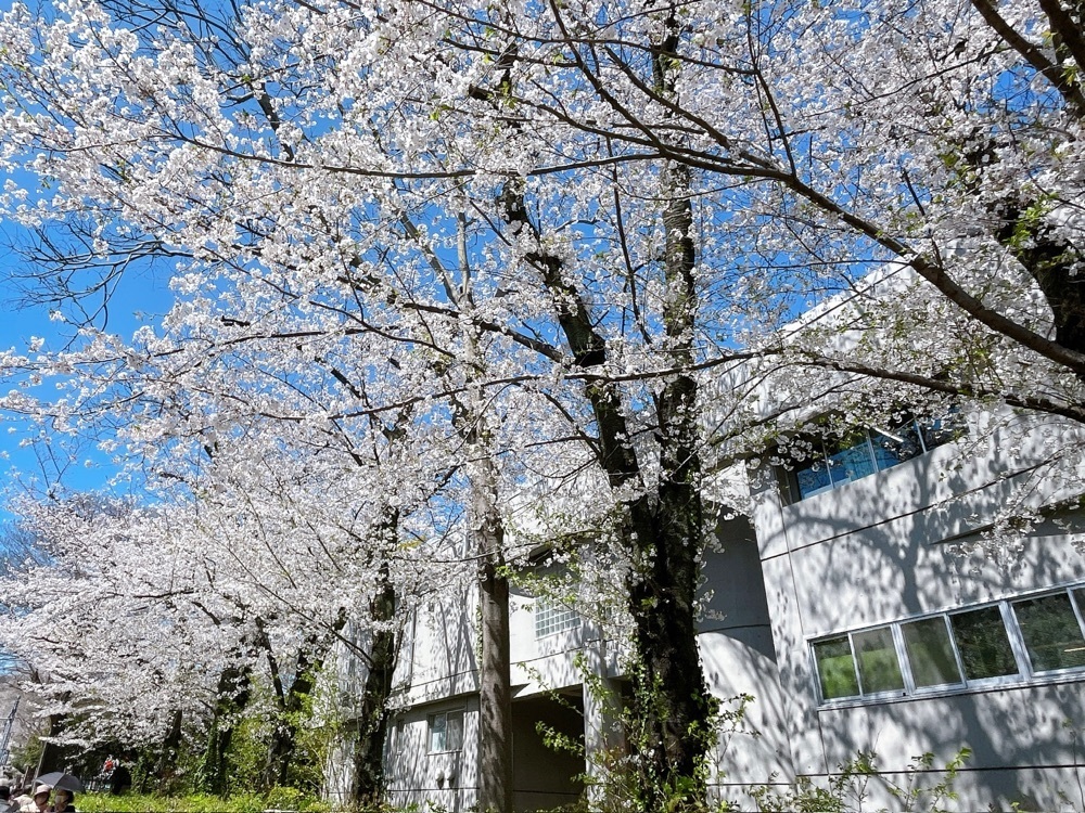 active34さんが投稿した上島珈琲店 黒田記念館店に関する口コミの画像