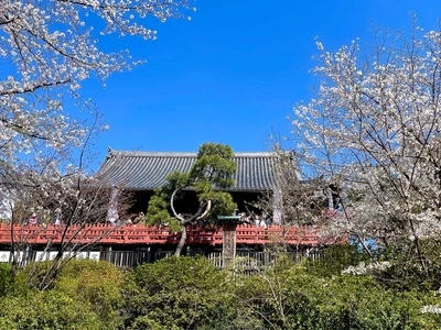寛永寺清水観音堂