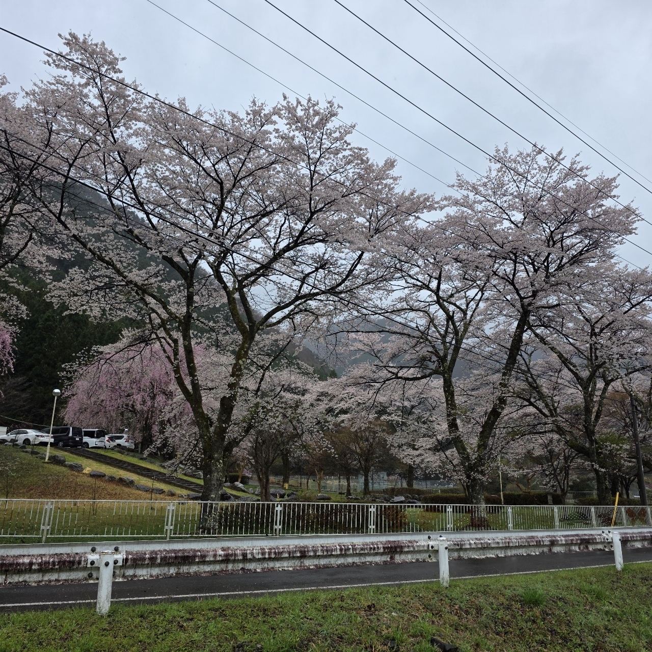 通りすがりのAさんが投稿した草木ドライブインに関する口コミの画像