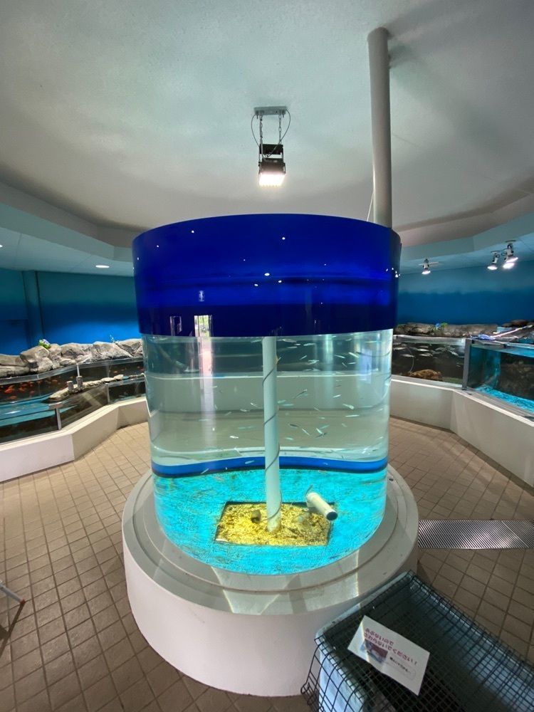 Satoshi.Nさんが投稿したかすみがうら市水族館に関する口コミの画像