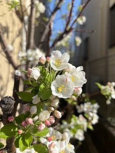 旧田中家鋳物民俗資料館 2枚目