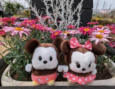 花のオアシス