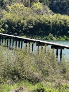 名越屋沈下橋
