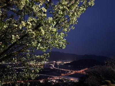 黄金山