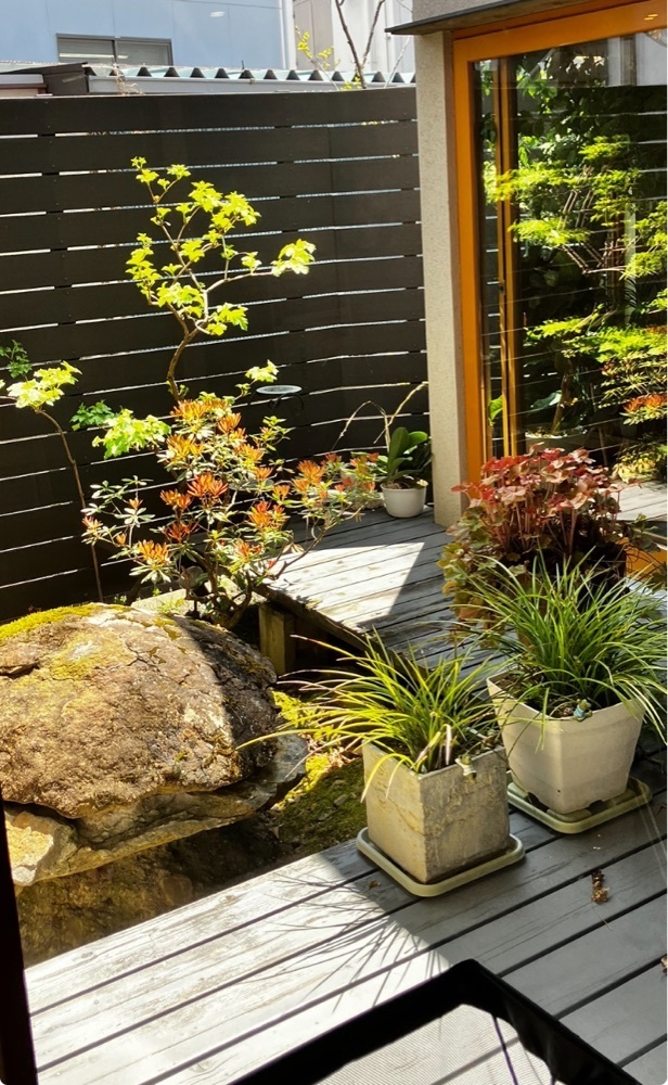 take.aさんが投稿した和菜屋 宴（エン）に関する口コミの画像
