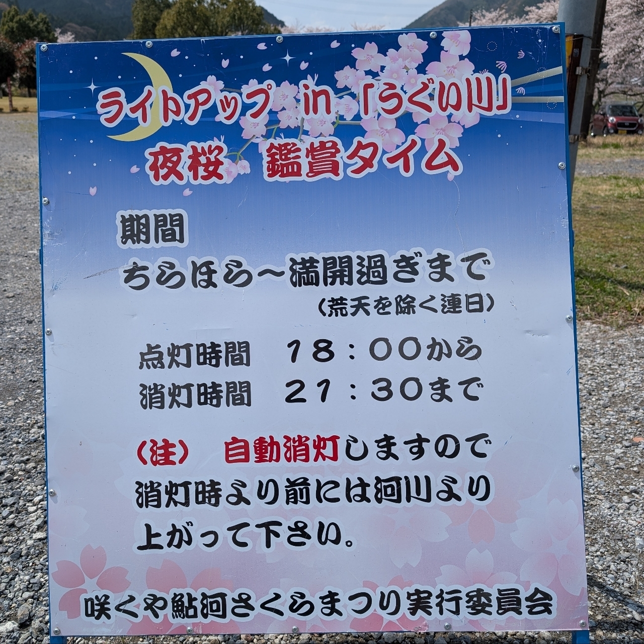 ぬっくさんが投稿した鮎河千本桜に関する口コミの画像