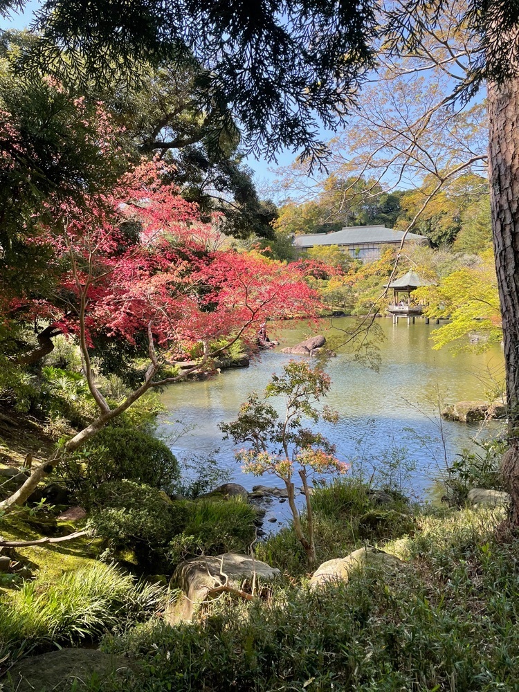 powerful_gift_4f3aさんが投稿した成田山公園の桜に関する口コミの画像