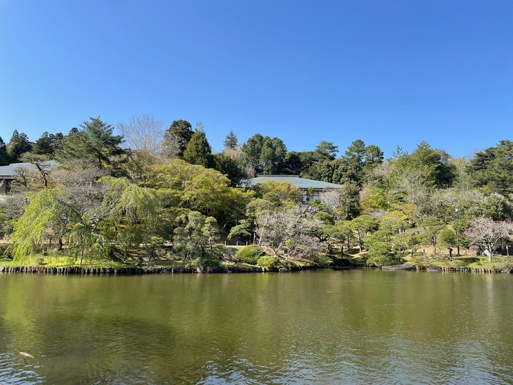 powerful_gift_4f3aさんが投稿した成田山公園の桜に関する口コミの画像