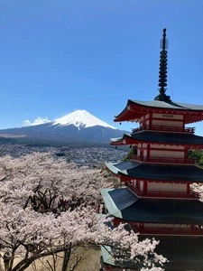 新倉山浅間公園