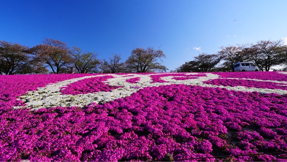 jamesさんが投稿した東京メトロ南北線赤羽岩淵駅に関する口コミの画像