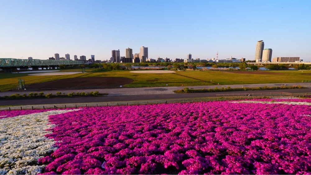 jamesさんが投稿した東京メトロ南北線赤羽岩淵駅に関する口コミの画像