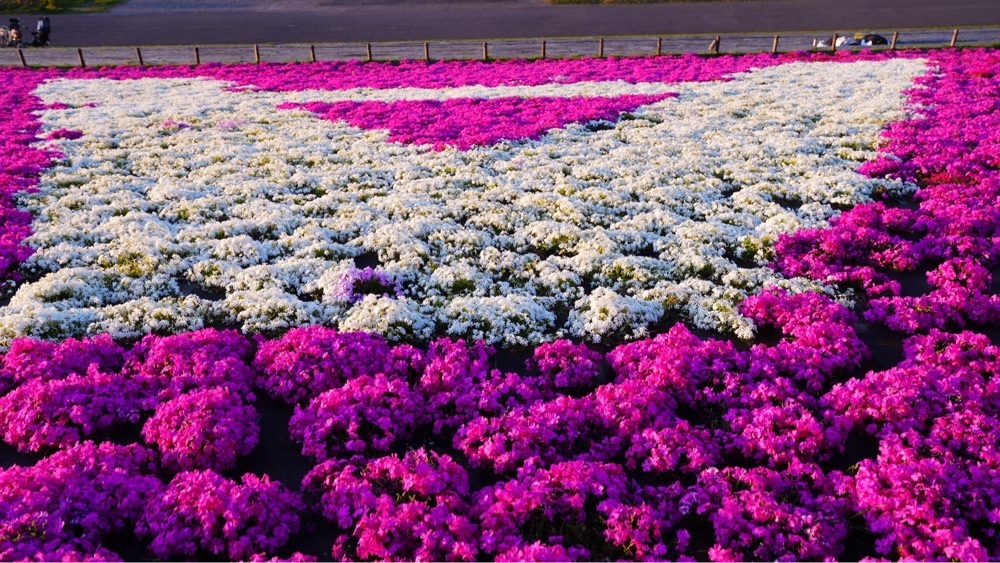 jamesさんが投稿した東京メトロ南北線赤羽岩淵駅に関する口コミの画像