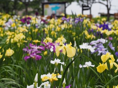 施設画像