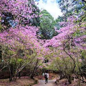 伊奈冨神社